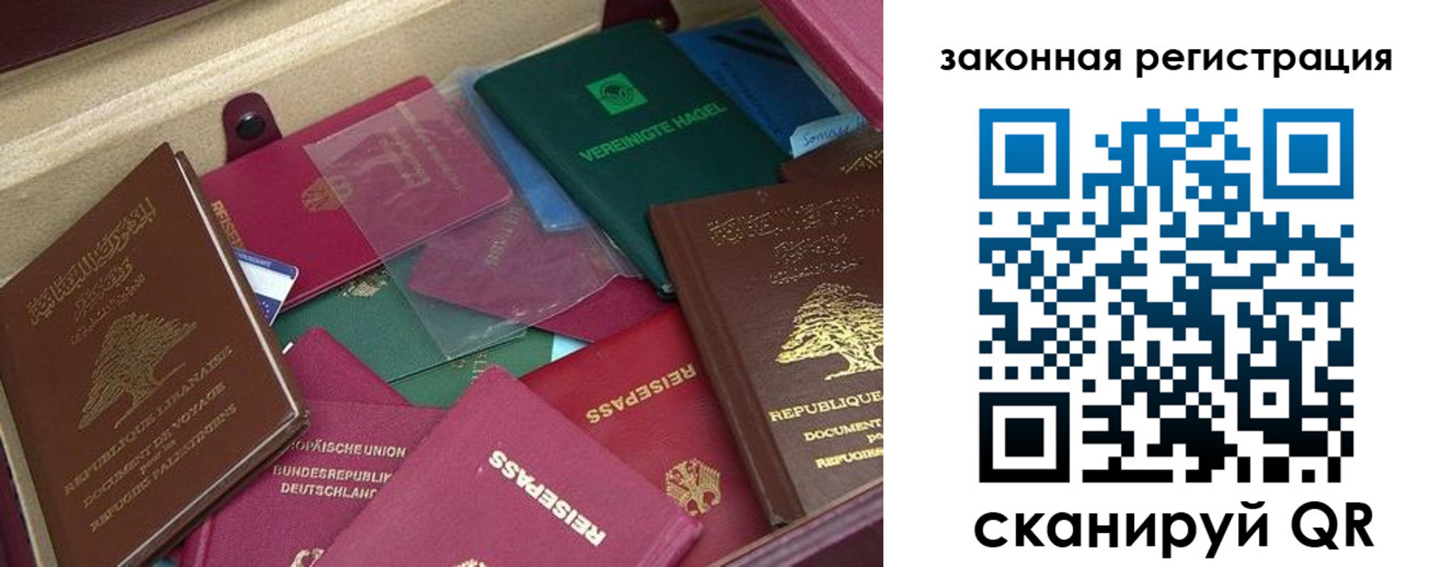купить прописку в Зернограде